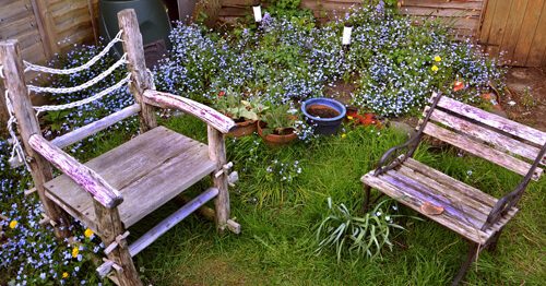 How to Turn Your Backyard into an Oasis