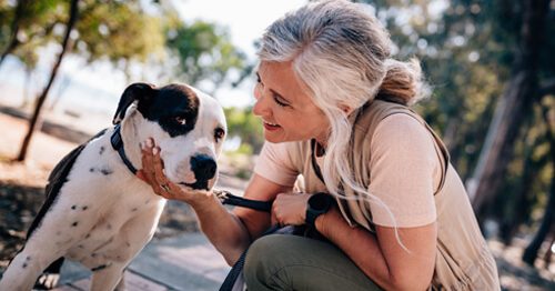 Your Second Act: Post-Retirement Jobs