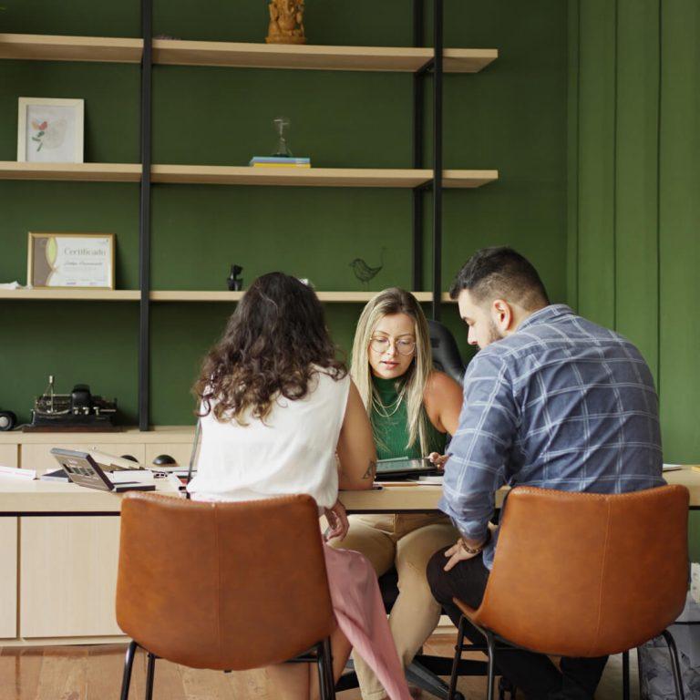 Interior Designer consultation in designer's office.