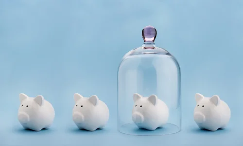 Learning Hub Small Insuring Deposits