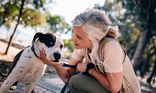 Older woman walking a dog, smiling and stopping to pet it.