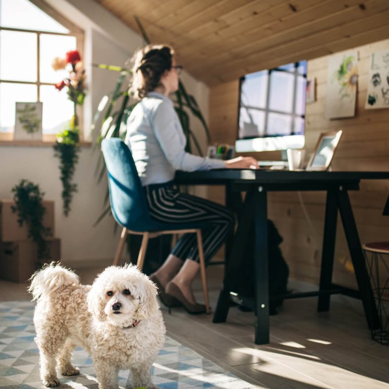Work From Home Learning Hub Large Template