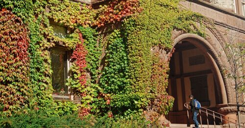 Graduate student walking up the steps of an ivy-league school (walls covered with ivy).