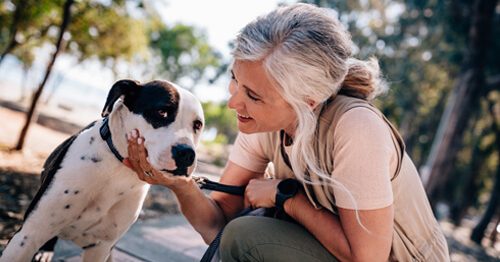 Older woman walking a dog, smiling and stopping to pet it.