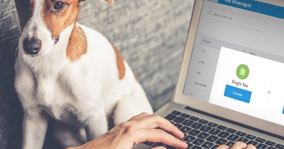 Jack Russell Terrier sitting on couch watching owner do his taxes on laptop