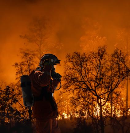 Disaster: California Wildfires