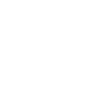 Safe Secure 2 W
